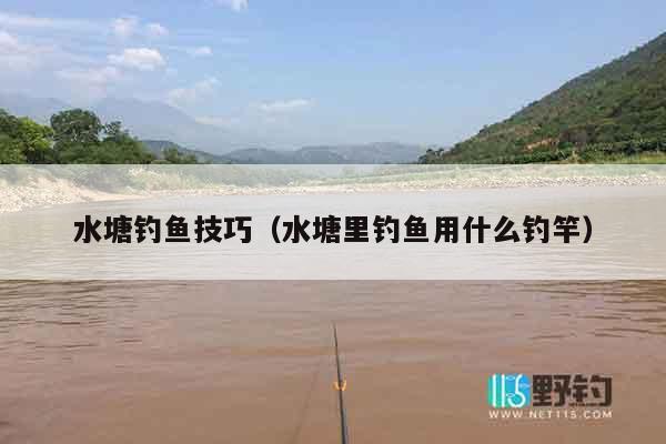 水塘钓鱼技巧（水塘里钓鱼用什么钓竿）
