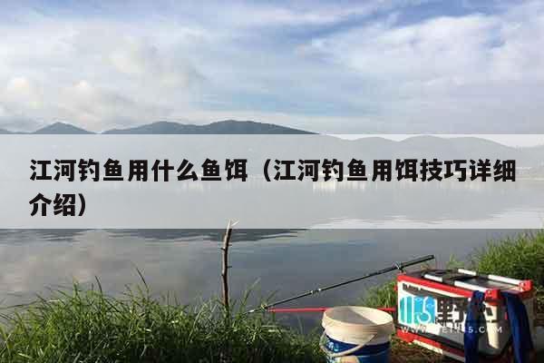 江河钓鱼用什么鱼饵（江河钓鱼用饵技巧详细介绍）