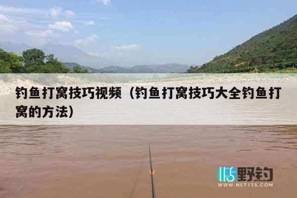 钓鱼打窝技巧视频（钓鱼打窝技巧大全钓鱼打窝的方法）
