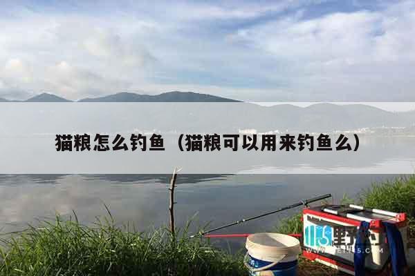 猫粮怎么钓鱼（猫粮可以用来钓鱼么）