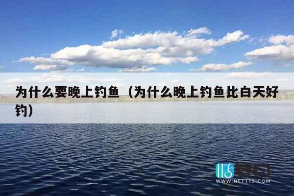 为什么要晚上钓鱼（为什么晚上钓鱼比白天好钓）