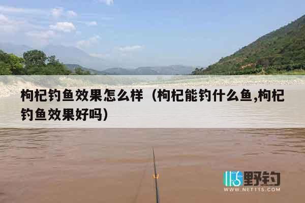 枸杞钓鱼效果怎么样（枸杞能钓什么鱼,枸杞钓鱼效果好吗）