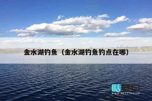 金水湖钓鱼（金水湖钓鱼钓点在哪）