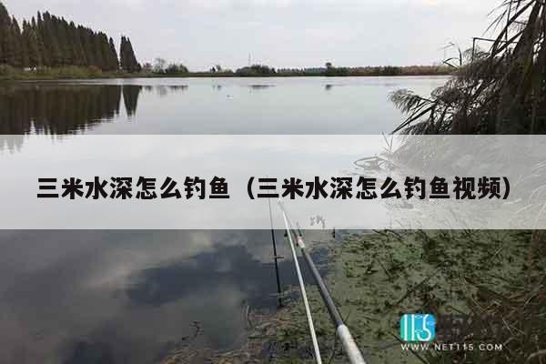 三米水深怎么钓鱼（三米水深怎么钓鱼视频）