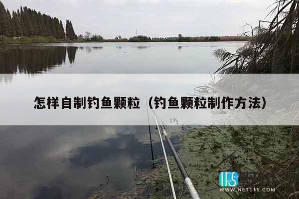 怎样自制钓鱼颗粒（钓鱼颗粒制作方法）