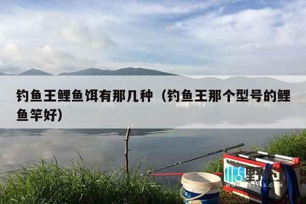 钓鱼王鲤鱼饵有那几种（钓鱼王那个型号的鲤鱼竿好）