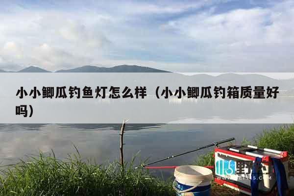 小小鲫瓜钓鱼灯怎么样（小小鲫瓜钓箱质量好吗）