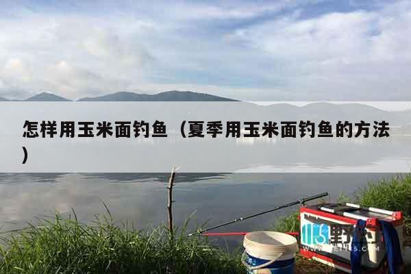 怎样用玉米面钓鱼（夏季用玉米面钓鱼的方法）