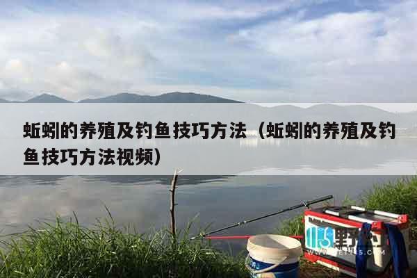 蚯蚓的养殖及钓鱼技巧方法（蚯蚓的养殖及钓鱼技巧方法视频）