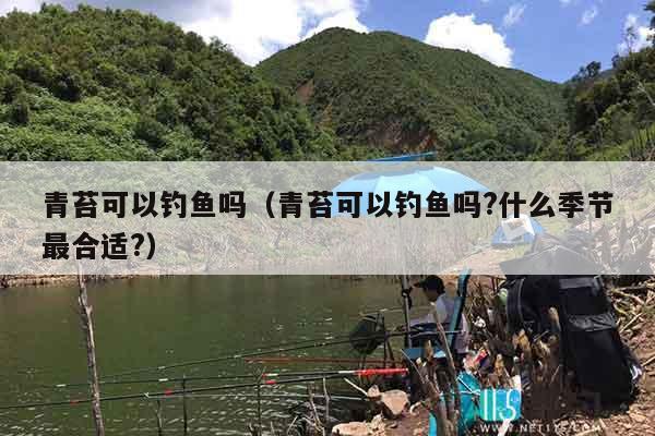 青苔可以钓鱼吗（青苔可以钓鱼吗?什么季节最合适?）