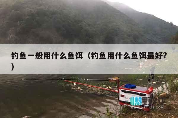 钓鱼一般用什么鱼饵（钓鱼用什么鱼饵最好?）