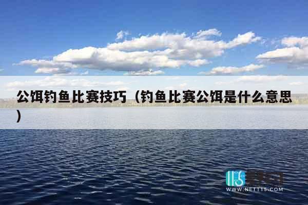 公饵钓鱼比赛技巧（钓鱼比赛公饵是什么意思）