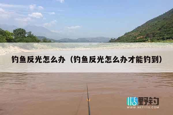 钓鱼反光怎么办（钓鱼反光怎么办才能钓到）