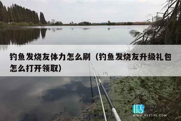 钓鱼发烧友体力怎么刷（钓鱼发烧友升级礼包怎么打开领取）