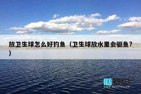 放卫生球怎么好钓鱼（卫生球放水里会驱鱼?）