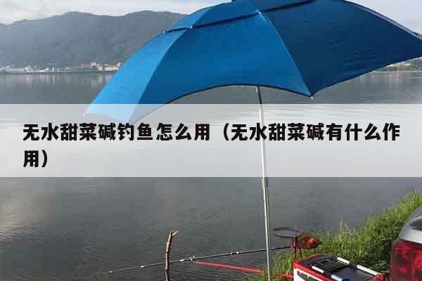 无水甜菜碱钓鱼怎么用（无水甜菜碱有什么作用）