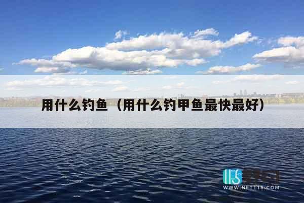 用什么钓鱼（用什么钓甲鱼最快最好）