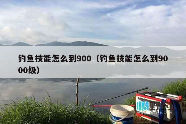 钓鱼技能怎么到900（钓鱼技能怎么到9000级）