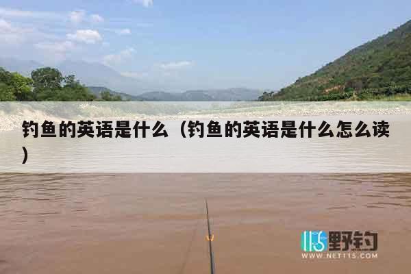 钓鱼的英语是什么（钓鱼的英语是什么怎么读）