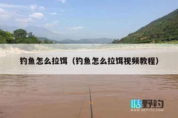 钓鱼怎么拉饵（钓鱼怎么拉饵视频教程）
