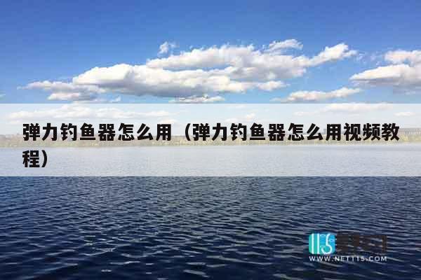 弹力钓鱼器怎么用（弹力钓鱼器怎么用视频教程）