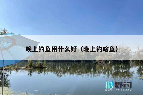 晚上钓鱼用什么好（晚上钓啥鱼）