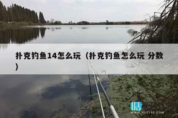 扑克钓鱼14怎么玩（扑克钓鱼怎么玩 分数）