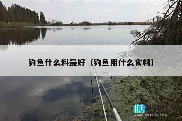 钓鱼什么料最好（钓鱼用什么食料）