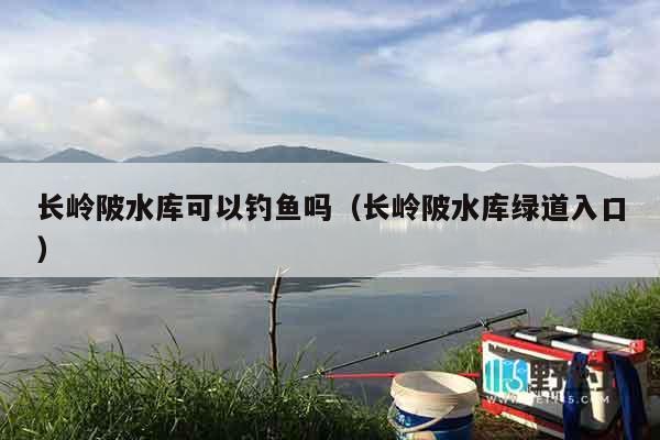 长岭陂水库可以钓鱼吗（长岭陂水库绿道入口）