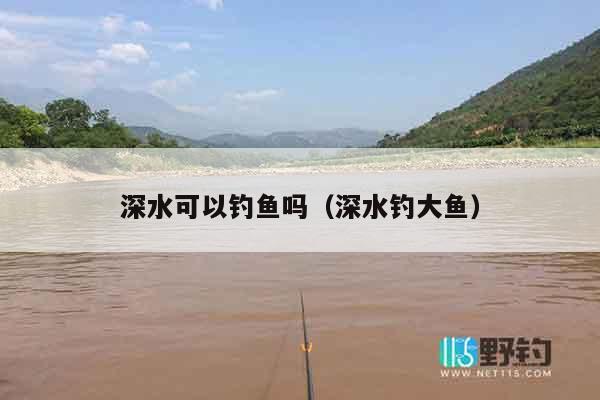 深水可以钓鱼吗（深水钓大鱼）