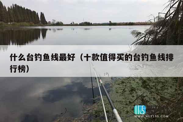 什么台钓鱼线最好（十款值得买的台钓鱼线排行榜）