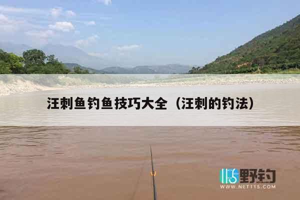 汪刺鱼钓鱼技巧大全（汪刺的钓法）