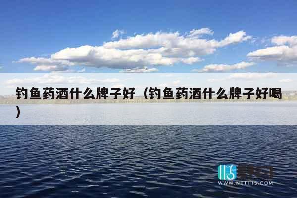 钓鱼药酒什么牌子好（钓鱼药酒什么牌子好喝）
