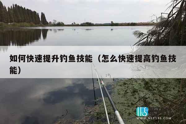 如何快速提升钓鱼技能（怎么快速提高钓鱼技能）