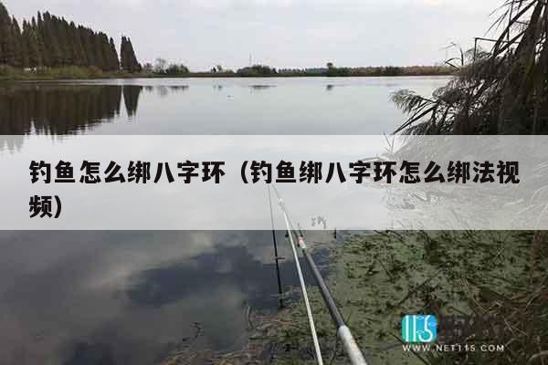 钓鱼怎么绑八字环（钓鱼绑八字环怎么绑法视频）