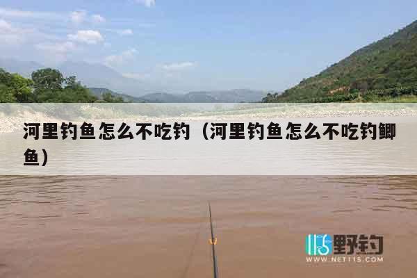 河里钓鱼怎么不吃钓（河里钓鱼怎么不吃钓鲫鱼）