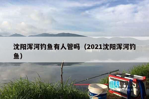 沈阳浑河钓鱼有人管吗（2021沈阳浑河钓鱼）