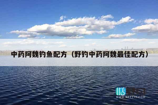 中药阿魏钓鱼配方（野钓中药阿魏最佳配方）