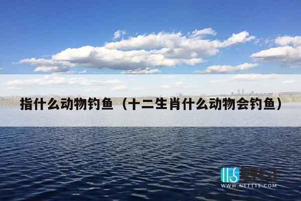 指什么动物钓鱼（十二生肖什么动物会钓鱼）