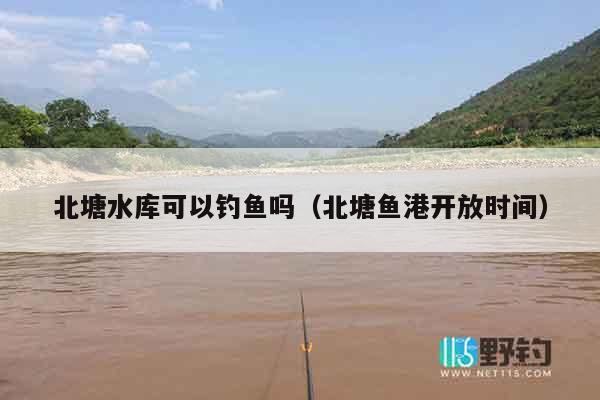 北塘水库可以钓鱼吗（北塘鱼港开放时间）