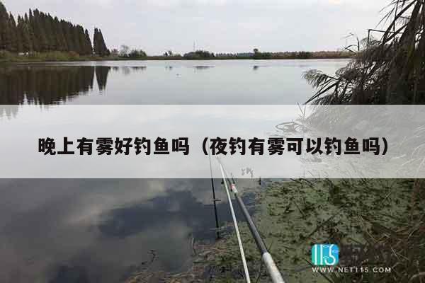 晚上有雾好钓鱼吗（夜钓有雾可以钓鱼吗）
