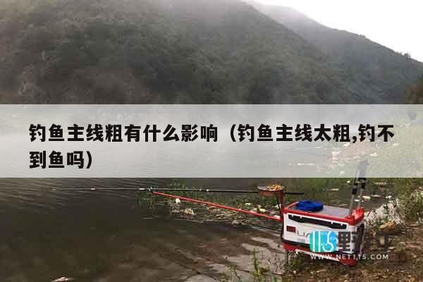 钓鱼主线粗有什么影响（钓鱼主线太粗,钓不到鱼吗）