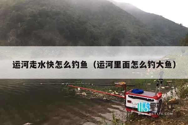 运河走水快怎么钓鱼（运河里面怎么钓大鱼）