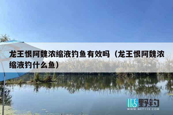 龙王恨阿魏浓缩液钓鱼有效吗（龙王恨阿魏浓缩液钓什么鱼）