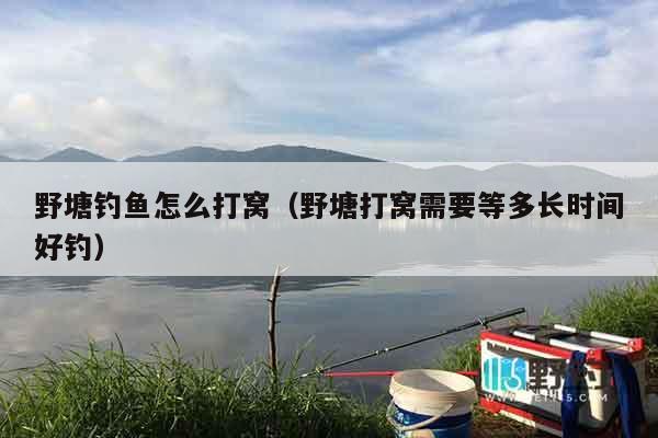 野塘钓鱼怎么打窝（野塘打窝需要等多长时间好钓）