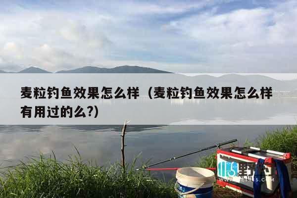 麦粒钓鱼效果怎么样（麦粒钓鱼效果怎么样 有用过的么?）