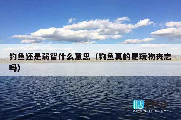 钓鱼还是弱智什么意思（钓鱼真的是玩物丧志吗）