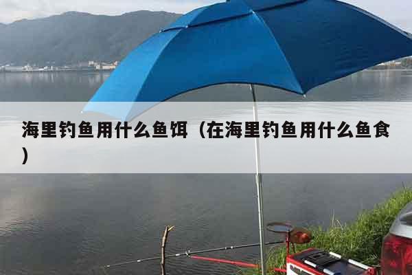 海里钓鱼用什么鱼饵（在海里钓鱼用什么鱼食）