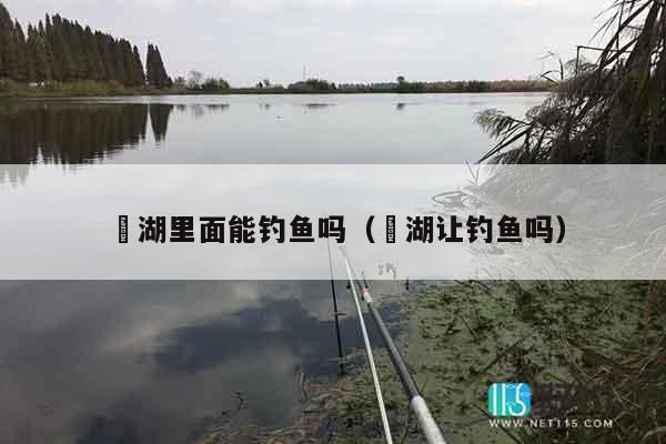 滆湖里面能钓鱼吗（滆湖让钓鱼吗）