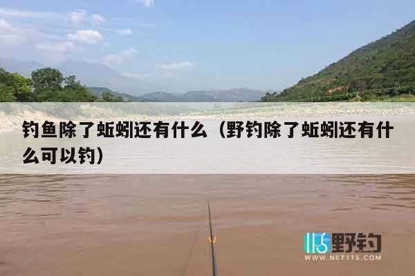 钓鱼除了蚯蚓还有什么（野钓除了蚯蚓还有什么可以钓）